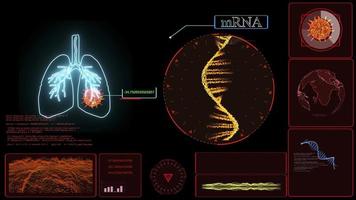 mRNA model on computer red monitor research red text analysis information photo