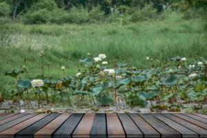 Empty wooden table in front of a puddle of water. Blurred background with lotus flowers. photo
