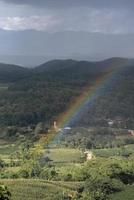 Rainbow over the green hills tree in the sky photo