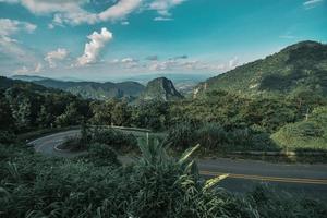 bosques de montaña, caminos con densos bosques de pinos en las montañas de chiang rai, tailandia, donde la naturaleza es más. foto