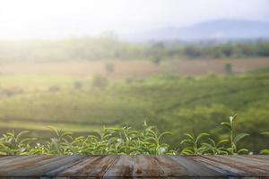 Empty wooden floor with blurred tea plantations Can be used for product display editing photo