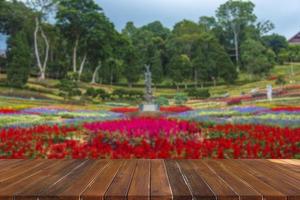 wooden table top on blurred park background photo