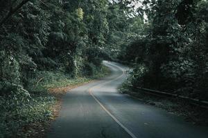 Mountain forests, roads with dense pine forests in the mountains. photo