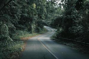 Mountain forests, roads with dense pine forests in the mountains. photo