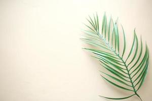 Tropical background i with palm leaf on yellow background photo