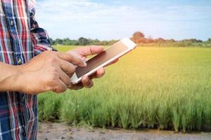 Farmer use digital mobile phone to collect, report and analyze data in rice agriculture farm, Smart farming concept. photo