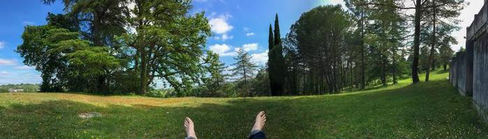 Bare feet of a young man lying in the green grass in summer in front of a forest photo