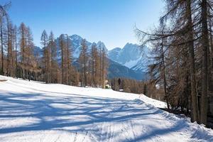 View of shadow falling on snow covered land by trees on mountain against sky photo