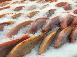 tilapia roja cruda congelada, vendida en el bazar del mercado. los peces son capturados y exhibidos en un fondo de hielo fresco. foto