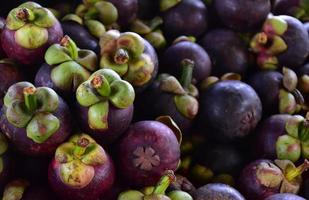 Mangosteen fruits on shelf at the market. photo