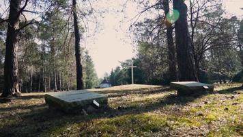 Grabsteine auf dem Friedhof video