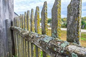 Old and rotten wooden fence, overgrown with moss and mold, lopsided from time to time photo