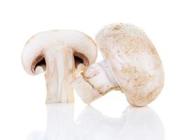 fresh champignon mushroom photo