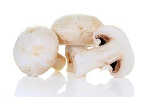 fresh champignon mushroom photo