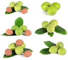 green fresh walnuts photo