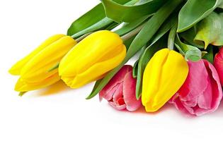 Tulips Bouquet background photo