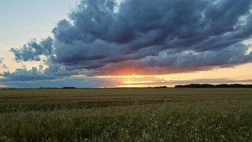 zonsondergang timelapse over het weiland van de boer. landbouw thema video