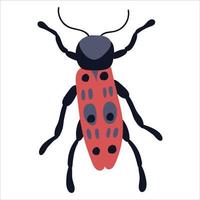 Cute beetle on a white, isolated background. vector