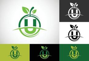 alfabeto inicial del monograma u con el logotipo abstracto de Apple. vector de diseño de logotipo de alimentos saludables