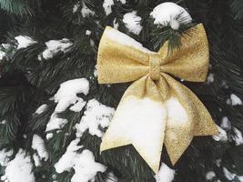 Christmas tree, decorated with a golden bow, on green branches with snow. Festive Christmas background. Close-up. photo