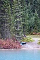 a fall day at emerald lake in the Canadian rockies photo