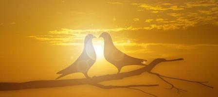 silueta de gran angular de una silueta de pájaro en forma de corazón en un pastel de amor y san valentín. foto