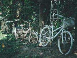 Several old bicycles are parked in the park. photo