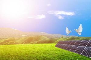 Two white doves fly on a solar panel in a wide meadow. photo