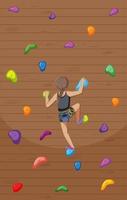 Indoor rock climbing gym vector