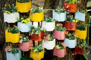 The brightly colored flowers are arranged in multicolored pots . photo