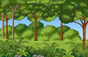 fondo de ambiente de selva de dibujos animados vector