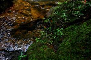 Natural waterfall, shoulder river, through the top of the mountain photo