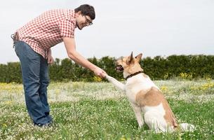 Happy man plays with mixed breed shepherd dog on green grass photo