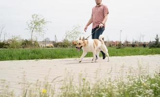 Profile shot of a young guy walking his dog in a park on a sunny spring day photo