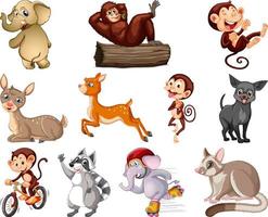 Set of animal cartoon character vector