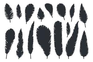 Bird feathers, black silhouettes closeup isolated on white background set.
