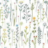 Seamless floral pattern with hand drawn plants, leaves, wild flowers. vector