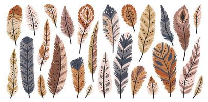 Rustic decorative tribal feathers. Set of decorative animals feathers. vector