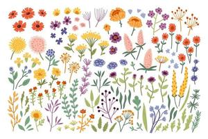 Big botanical set of doodle wild flower other elements. vector