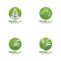 Nature leaf icon and symbol template vector