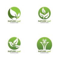 Nature leaf icon and symbol template vector