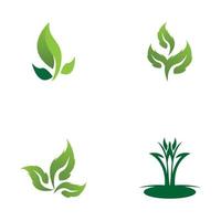 vector de plantilla de icono y símbolo de hoja de naturaleza