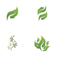 vector de plantilla de icono y símbolo de hoja de naturaleza