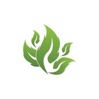 Nature leaf icon and symbol template vector