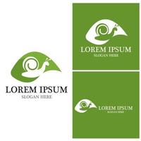 Snail icon and symbol vector template