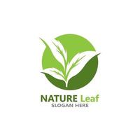 Nature leaf icon and symbol template vector