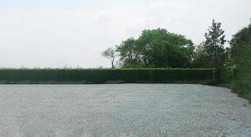 Parking lot sprinkled with green leaves gravel on tree bush nature background and cloud and sky photo