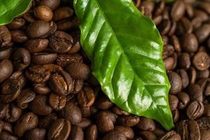 grano de café tostado medio con hojas en la mañana fresca.
