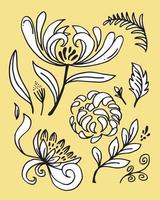 hand drawn flower chrysanthemums and tropical leaves.vector illustration. vector