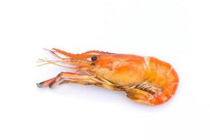 Delicious grilled river prawns on a white background photo